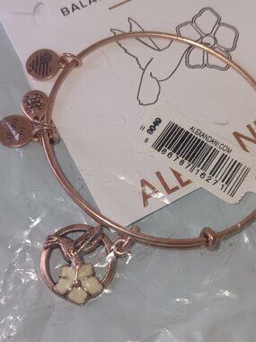 Alex and Ani hummingbird bracelet